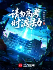 《请勿高考时渡劫》小说封面
