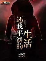 《还我平淡的生活》小说封面
