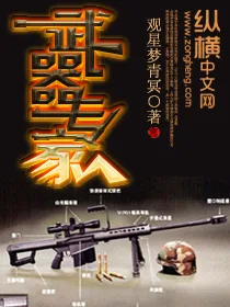 《武器专家》小说封面