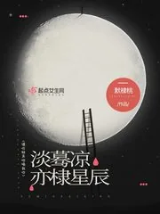 《淡蓦凉亦棣星辰》小说封面