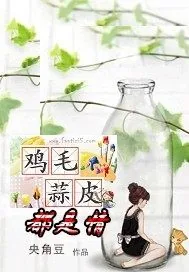 《鸡毛蒜皮都是情》小说封面