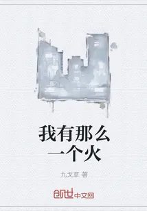 《我有那么一个火》小说封面