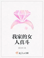 《我家的女人真斗》小说封面