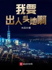 《我要出人头地啊》小说封面