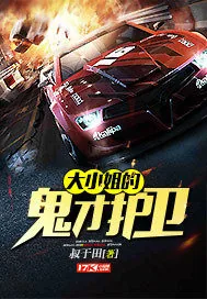 《大小姐的鬼才护卫》小说封面