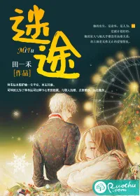 《迷途》小说封面