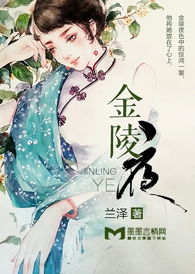 《金陵夜》小说封面