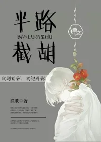 《半路截胡》小说封面