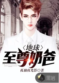 《地球至尊奶爸》小说封面