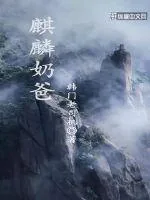 《麒麟奶爸》小说封面