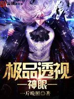 《极品透视神眼》小说封面