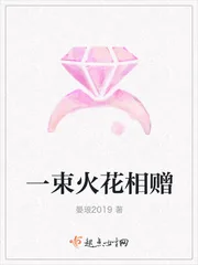 《一束火花相赠》小说封面