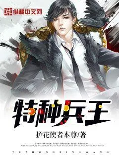 《特种兵王》小说封面