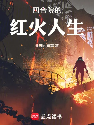 《四合院的红火人生》小说封面