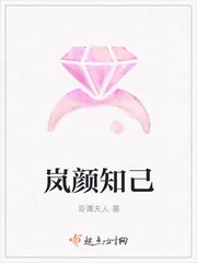 《岚颜知己》小说封面