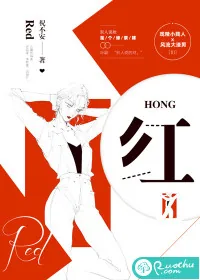 《红》小说封面
