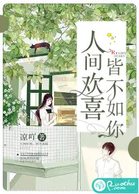 《人间欢喜，皆不如你》小说封面