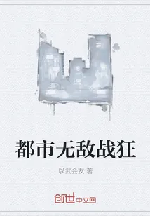 《都市无敌战狂》小说封面