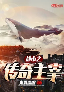 《都市之传奇主宰》小说封面