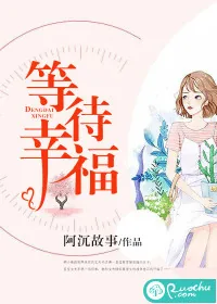 《等待幸福》小说封面
