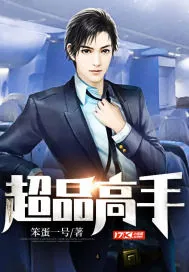 《超品高手》小说封面