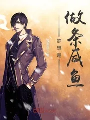 《梦想是做条咸鱼》小说封面