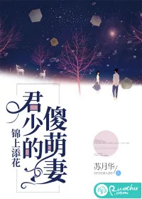 《锦上添花：君少的傻萌妻》小说封面