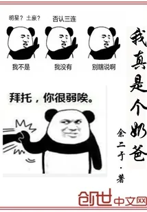 《我真是个奶爸》小说封面