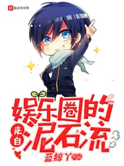 《来自娱乐圈的泥石流》小说封面