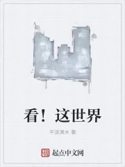 《完美主义之重回1985》小说封面
