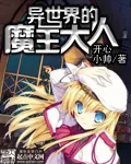 《异世界的魔王大人》小说封面