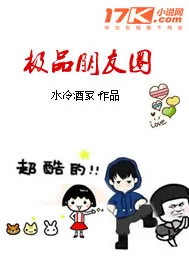 《极品朋友圈》小说封面