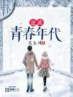 《逆流青春年代》小说封面