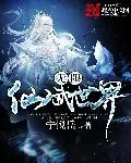 《无限仙武世界》小说封面