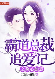 《霸道总裁追爱记》小说封面