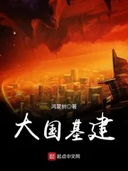 《大国基建》小说封面