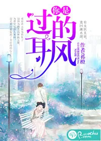 《你是过耳的风》小说封面