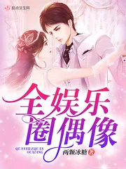 《全娱乐圈偶像》小说封面