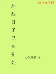 《那些日子已在别处》小说封面