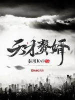 《天才赘婿》小说封面