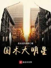 《国术大明星》小说封面