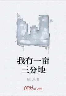 《我有一亩三分地》小说封面