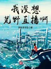 《我没想荒野直播啊》小说封面