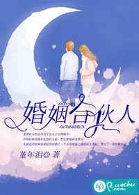 《婚姻合伙人》小说封面