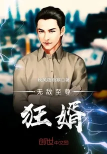 《无敌至尊狂婿》小说封面