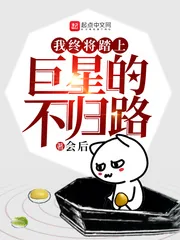《我终将踏上巨星的不归路》小说封面