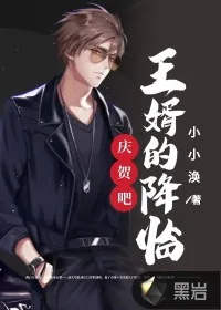 《庆贺吧，王婿的降临！》小说封面