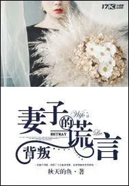 《背叛：妻子的谎言》小说封面