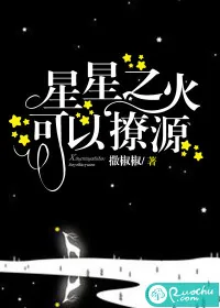 《星星之火，可以撩源》小说封面