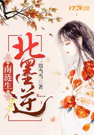 《南涟生北墨逆》小说封面